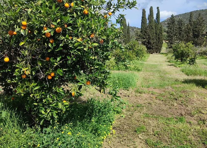 Nyaraló In Our Garden Sardinia La Casina Rurale Cin3323 Capitana