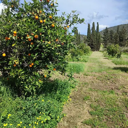 بيت للعطل In Our Garden Sardinia La Casina Rurale Cin3323 كابيتانا