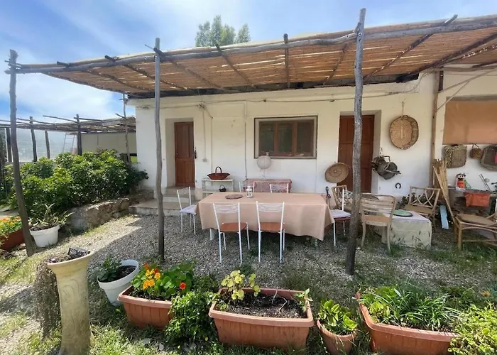 別荘 In Our Garden Sardinia La Casina Rurale Cin3323 *